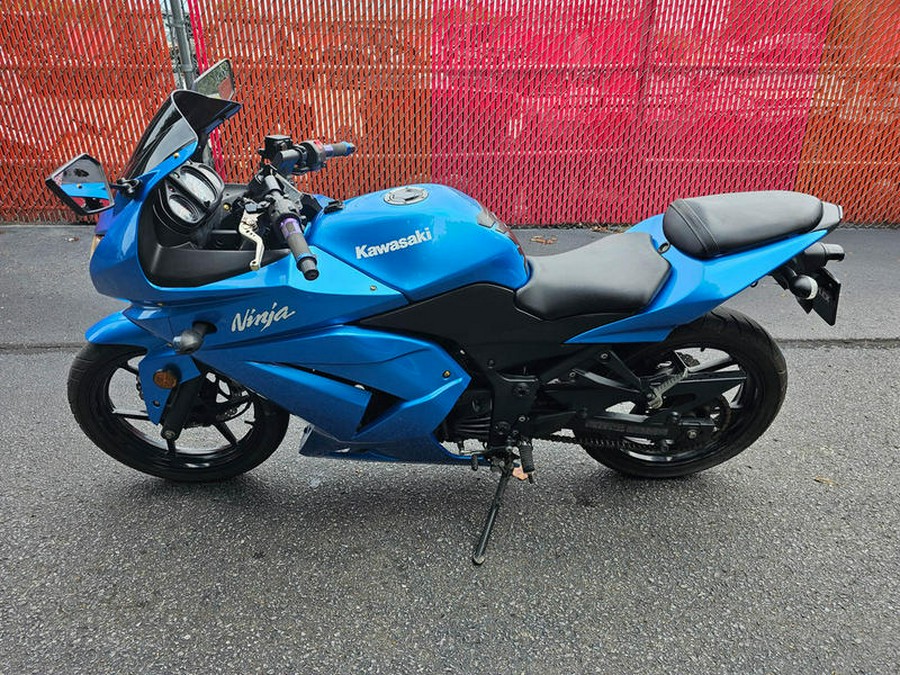 2010 Kawasaki Ninja® 250R