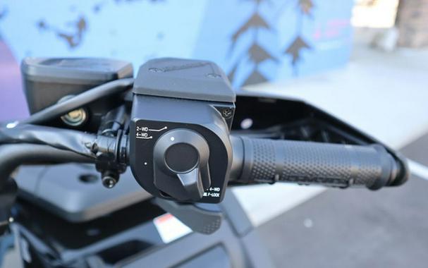 2025 CFMOTO CFORCE 600