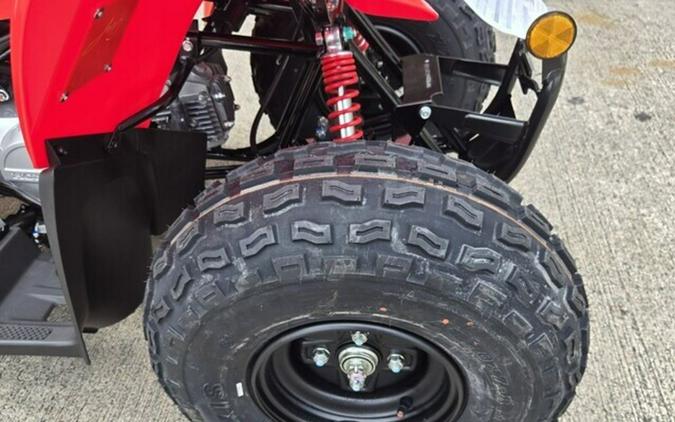 2026 Honda TRX® 90X