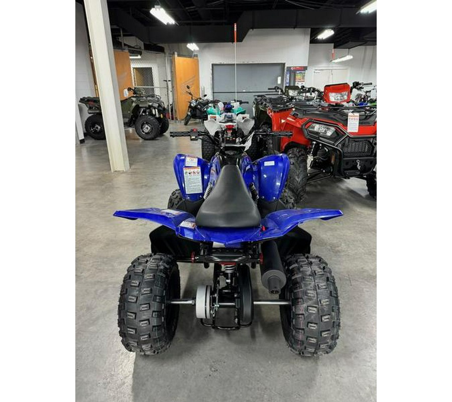 2025 Yamaha Raptor 110