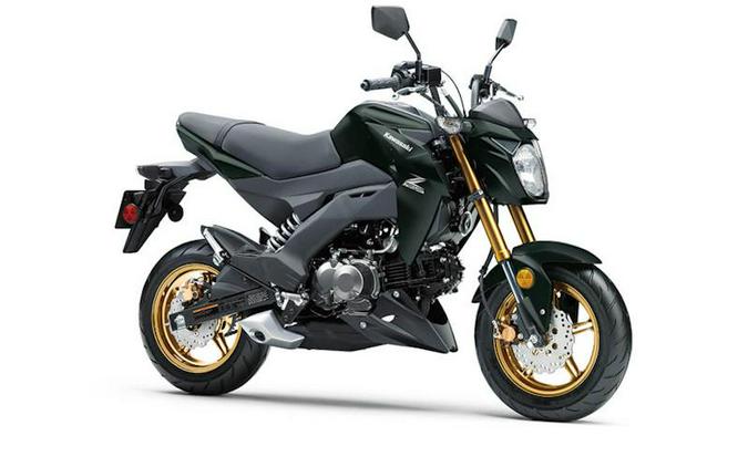2025 Kawasaki Z125 PRO