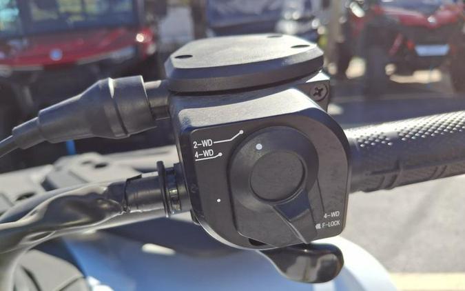 2025 CFMOTO CFORCE 500