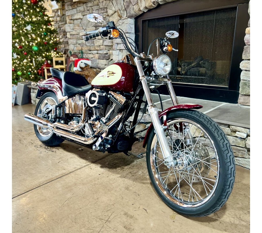 2007 FXSTC - Softail Custom