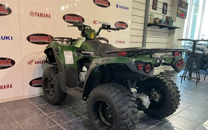 2025 Kawasaki Brute Force 300