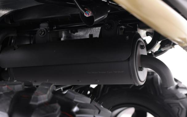 2026 Denago Powersports Freelander 300FI