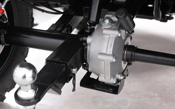2026 Denago Powersports Freelander 300FI