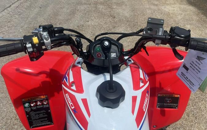 2025 Honda TRX 250X