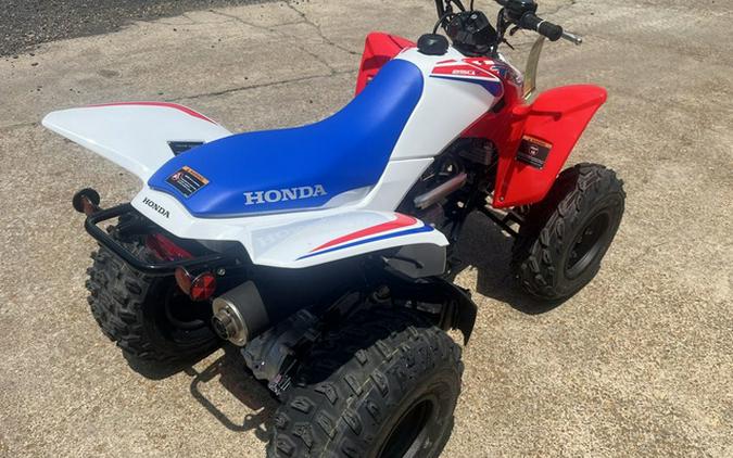 2025 Honda TRX 250X