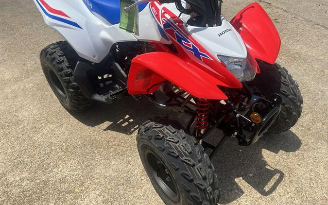 2025 Honda TRX 250X
