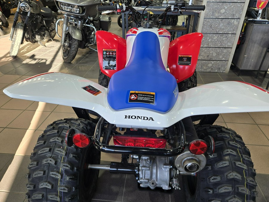 2026 HONDA TRX250X