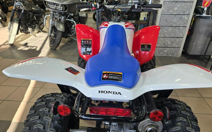 2026 HONDA TRX250X