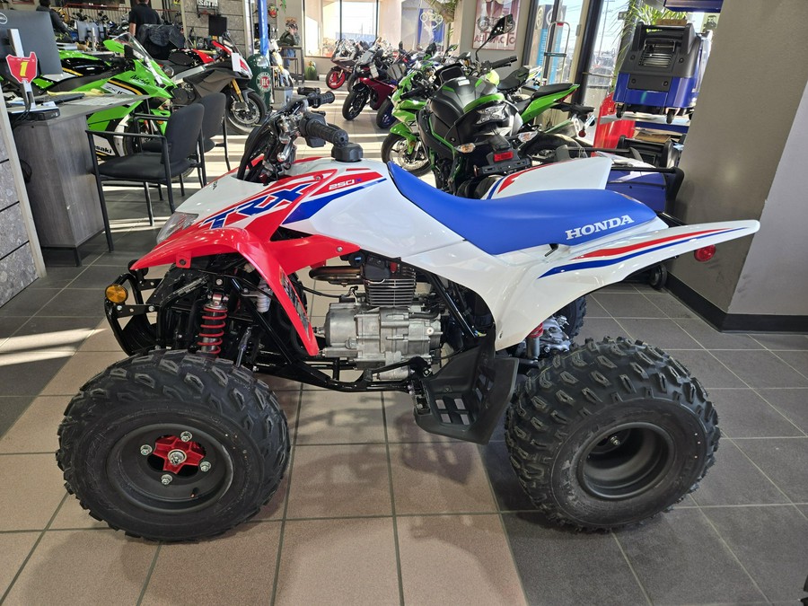 2026 HONDA TRX250X