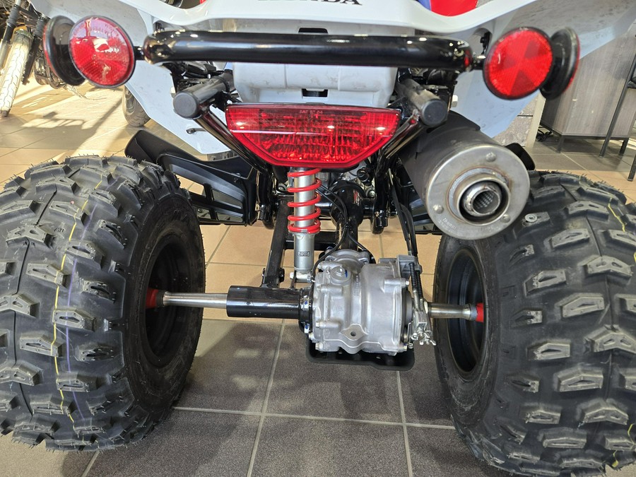 2026 HONDA TRX250X