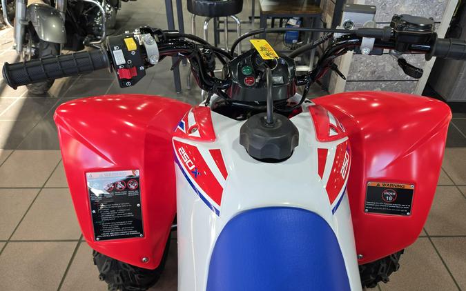 2026 HONDA TRX250X