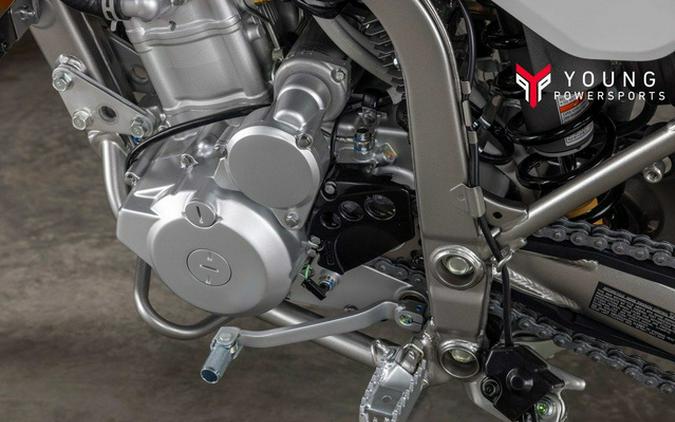 2026 Kawasaki KLX 300