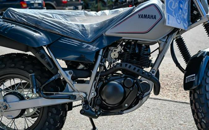 2025 Yamaha TW200