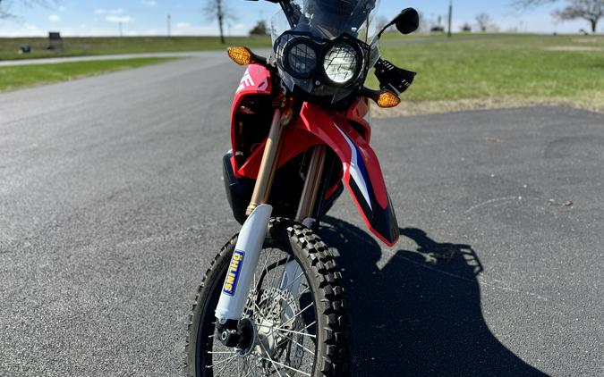 2020 Honda CRF250L Rally
