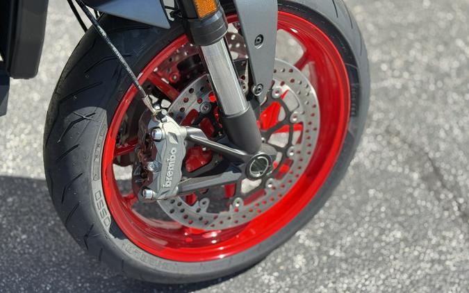 2025 Ducati Monster Plus Aviator Grey