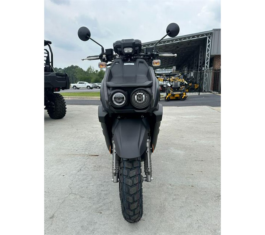 2023 Yamaha Zuma 125