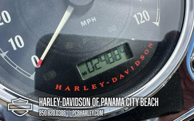 2015 Harley-Davidson® Switchback™