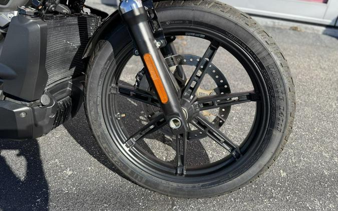 2022 Harley-Davidson® NIGHTSTER - 06495C