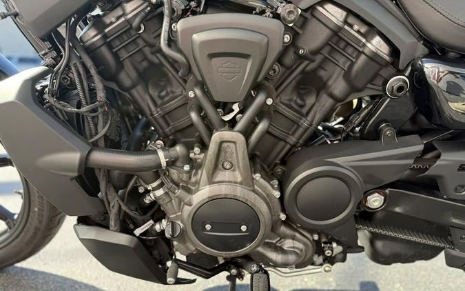 2022 Harley-Davidson® NIGHTSTER - 06495C