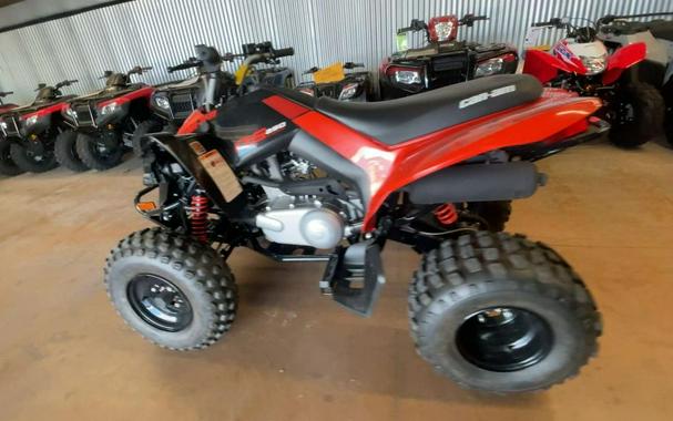 2026 Can-Am® DS 250