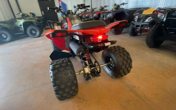 2026 Can-Am® DS 250