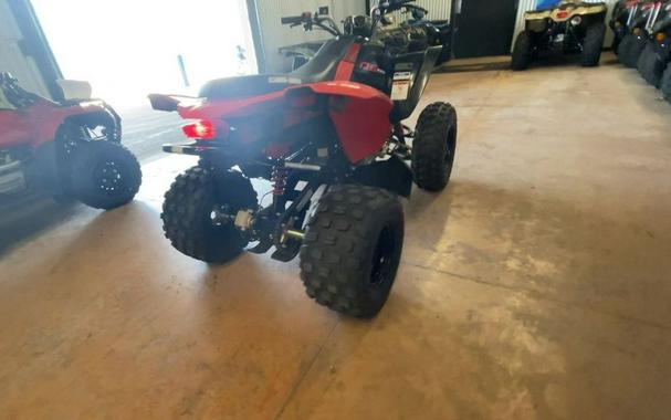 2026 Can-Am® DS 250