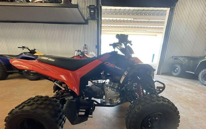 2026 Can-Am® DS 250