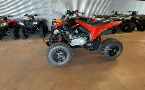 2026 Can-Am® DS 250