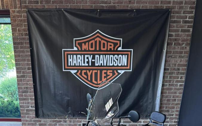 2024 Kawasaki Eliminator ABS Pearl Storm Gray