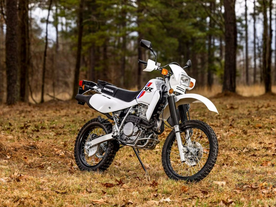 2024 Honda XR™ 650L