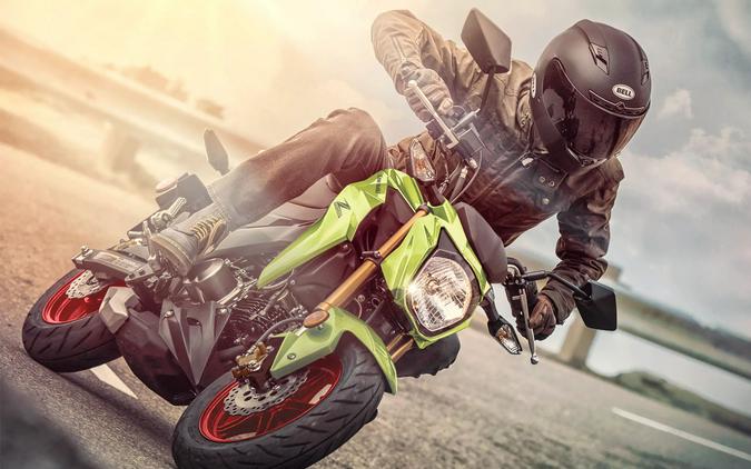 2026 Kawasaki Z125 Pro