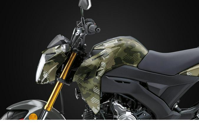 2026 Kawasaki Z125 Pro