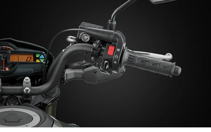 2026 Kawasaki Z125 Pro