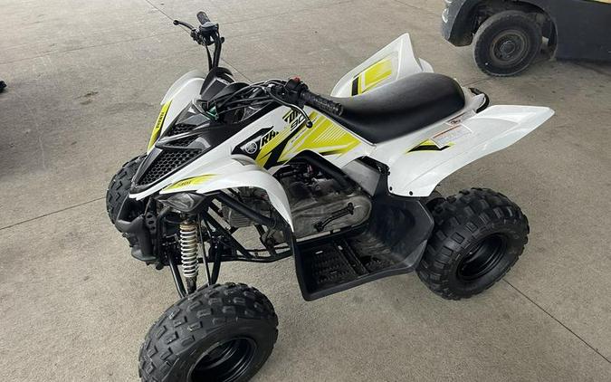 2018 Yamaha Raptor 90