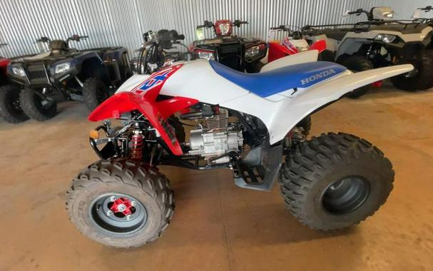 2026 Honda® TRX250X