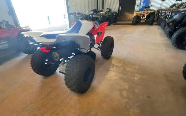 2026 Honda® TRX250X
