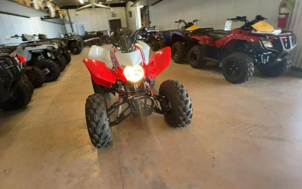 2026 Honda® TRX250X