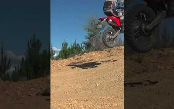 Test comparison 2024 Honda CRF450 vs CRF300 Rally suspension on the 450 brilliant