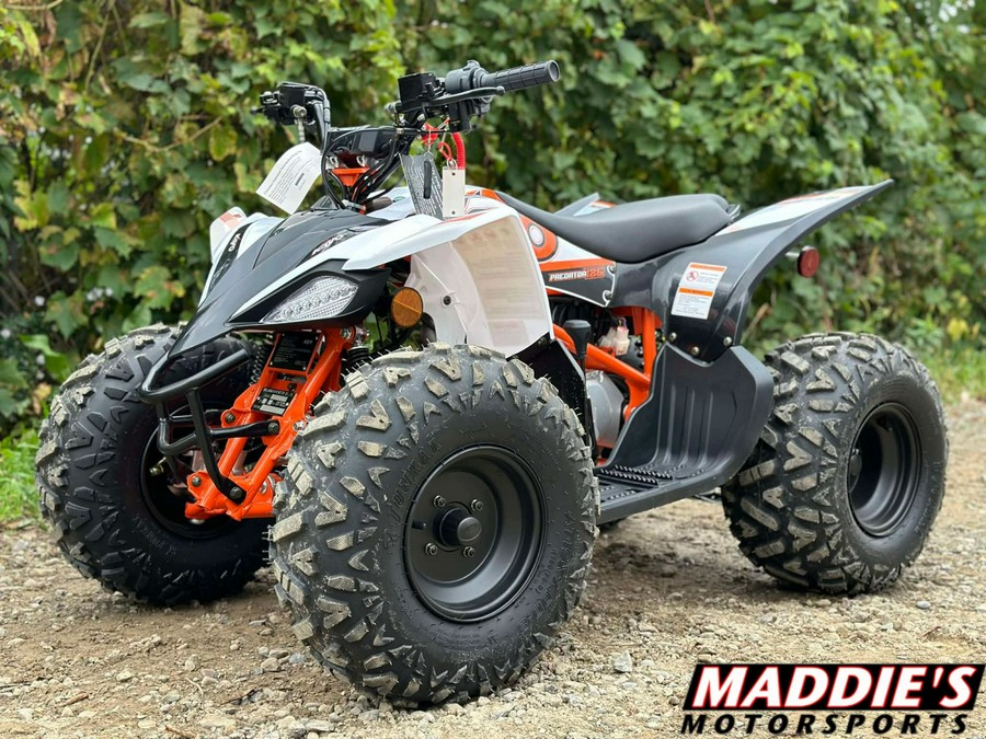 2025 Kayo Predator 125 EFI