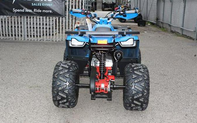 2026 Denago Powersports Mudhawk 10FI