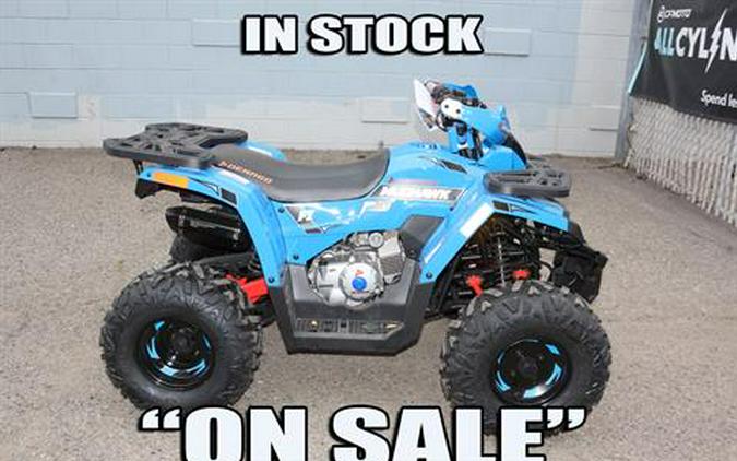2026 Denago Powersports Mudhawk 10FI