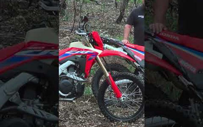 Test comparison 2024 Honda CRF450RL vs CRF300 Rally #hondacrf300l