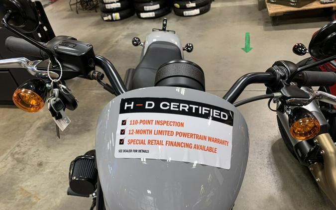 Harley-Davidson® Low Rider® S 2024 FXLRS Billiard Gray