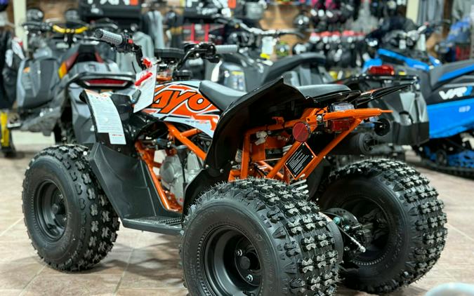 2025 Kayo Predator 125 EFI