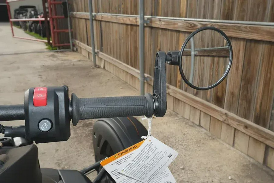 2025 CAN-AM RYKER 600 ACE