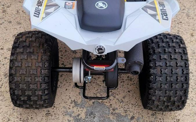 2024 Can-Am® Renegade 110 EFI