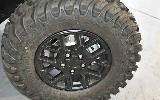 2026 Polaris RGR XD 1500 NS ULTIMATE